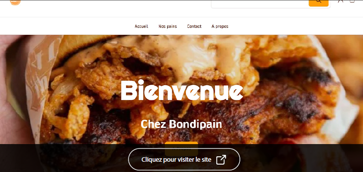 Capture d&rsquo;&eacute;cran 2025-05-28 153241